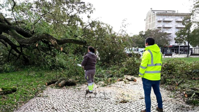 Kristin deixa rasto de destruição no concelho de Santarém