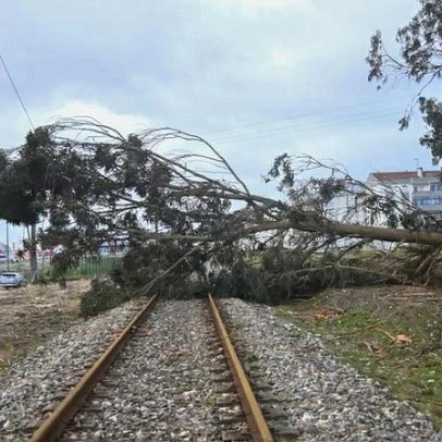 Várias linhas ferroviárias continuam com constrangimentos à circulação