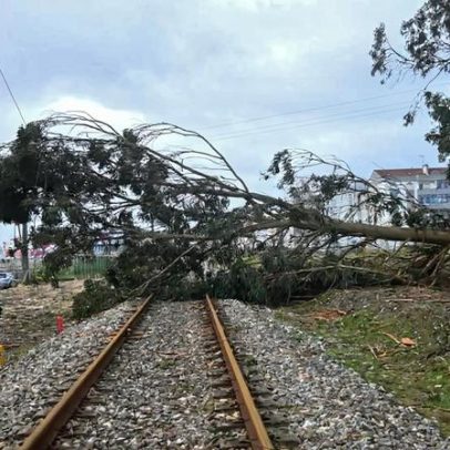 Circulação ferroviária suspensa em troços do Norte, Douro, Oeste, Beira Baixa e Cascais