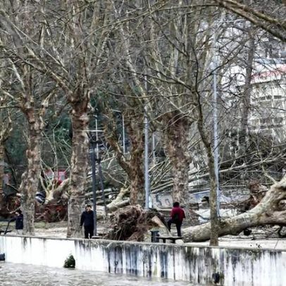 Moçambicana morre em Portugal durante tempestade, confirma embaixadora