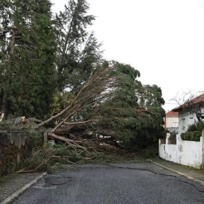 Duas pessoas realojadas em Castelo Branco após ferimentos