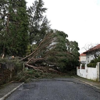 Homem morre ao cair do telhado que reparava em Cernache do Bonjardim