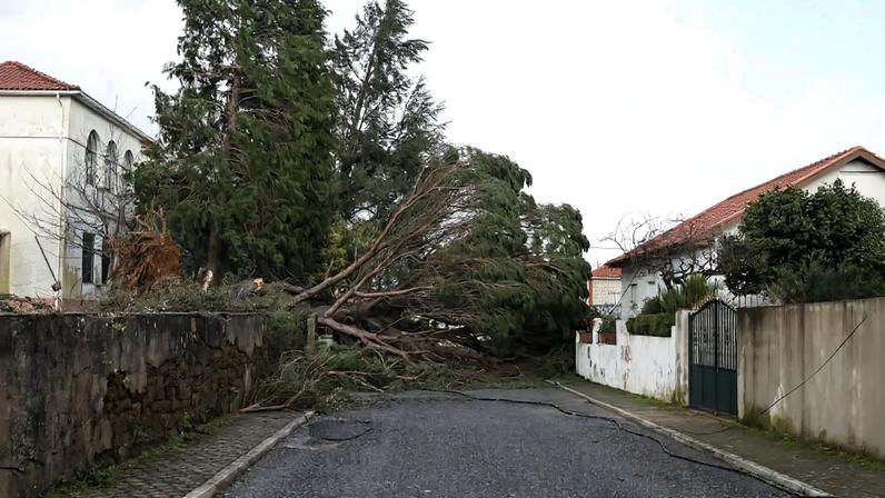 Destruição causada pela depressão Kristin em Castelo Branco