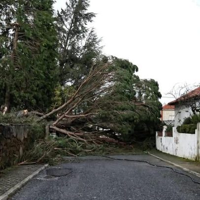 Apenas 40% do concelho de Vila de Rei tem comunicações