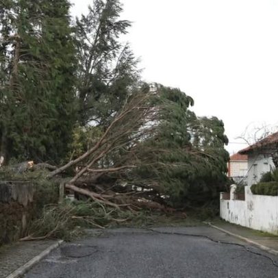 Vila de Rei encerra percursos pedestres por mau tempo