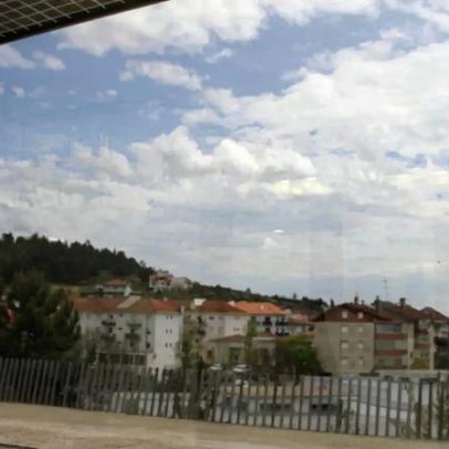 Empresa de Proença-a-Nova regista prejuízos de 2 milhões por mau tempo