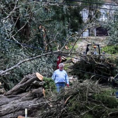 Chuva atrasa reparação de 1100 telhados em Ourém