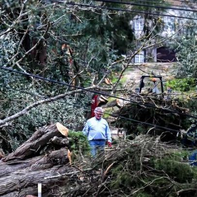 Câmara de Ourém regista 10 mil casas sem telhas após mau tempo