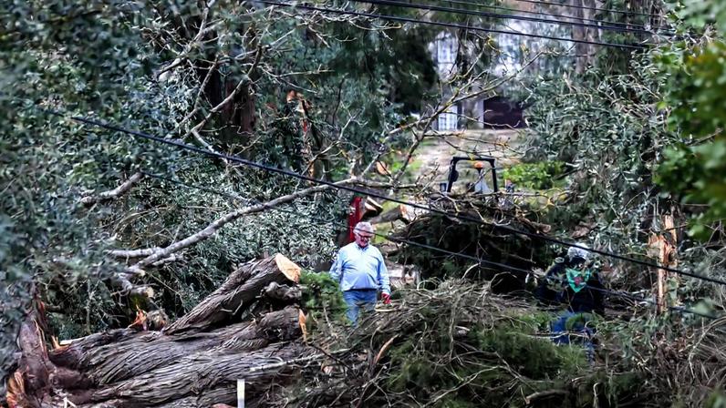 Trabalhos de limpeza em Ourém