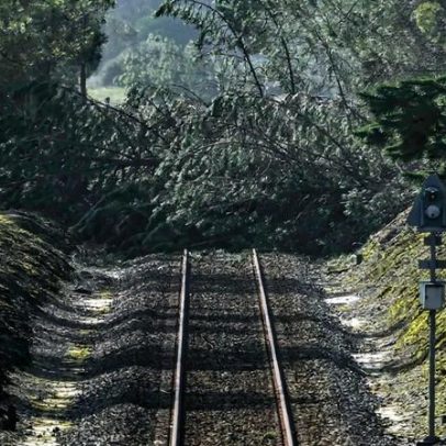 Tempestade Kristin provoca prejuízos significativos em Ferreira do Zêzere