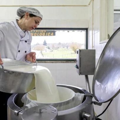 Federação Agrícola dos Açores opõe-se à redução de 3 cêntimos no leite