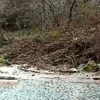 Deslizamento de terras obriga a cortar a EN 222 em Gaia