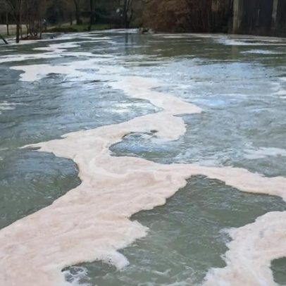 Rio Alviela é alvo de ataques ambientais diários