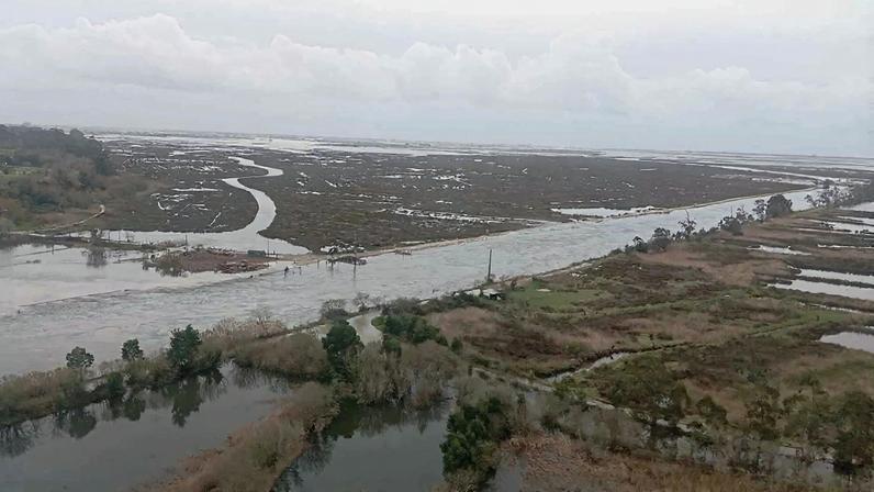 Proteção Civil reforça monitorização no Médio Tejo face a cheias e impactos de Kristin
