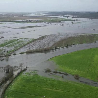 Alentejo regista 75,8 milhões de euros em prejuízos agrícolas por mau tempo