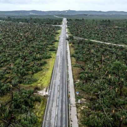 Marinha Grande solicita cedência urgente de plataformas com manobrador