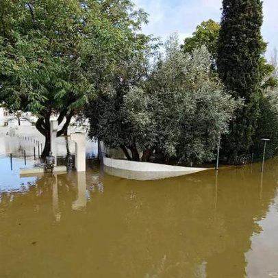 Prejuízos na agricultura e floresta somam 775 milhões de euros