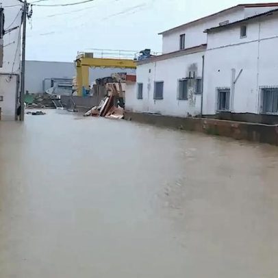 Região de Leiria defende isenção de portagens na A19 e na A8