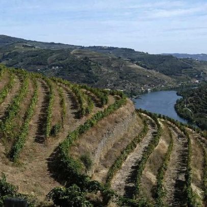 Mau tempo no Douro causa quedas de muros e impacto no enoturismo