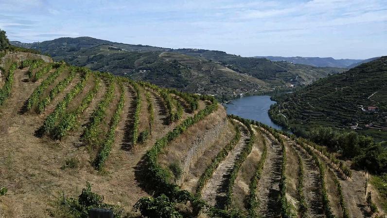 Douro