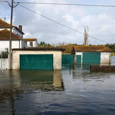 Falta de energia pode impedir eleições presidenciais em Montemor-o-Velho