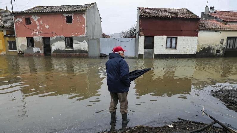 Segurança Social com mais de 200 técnicos no terreno apoia 1537 desalojados