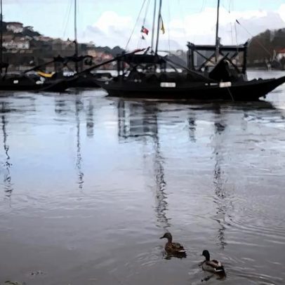 Risco de cheias no Douro diminui, mas alívio de restrições será gradual