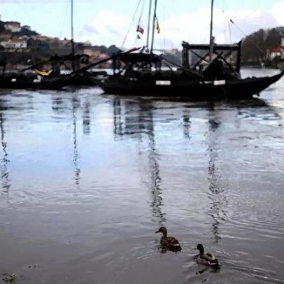 Subida do Douro visa encaixe de água sem impacto nas margens