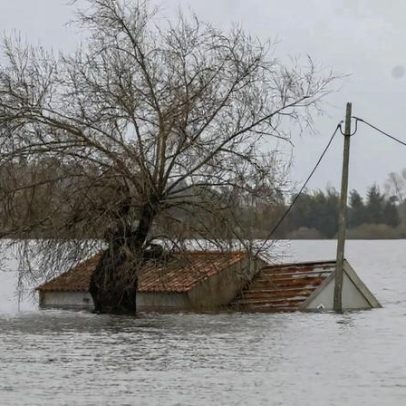 Defesa do Mondego solicita congresso sobre o rio ainda este ano