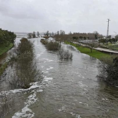 Lisboa e Vale do Tejo registam 107,9 milhões de prejuízos agrícolas