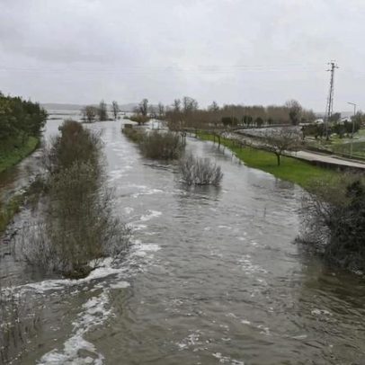 Caudal do Mondego desce significativamente em Montemor-o-Velho