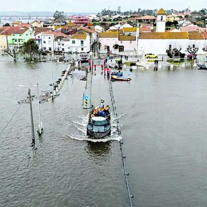 Três semanas após Kristin, Médio Tejo enfrenta atraso na prevenção florestal