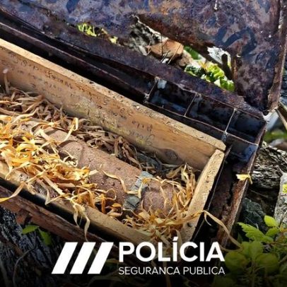 Munição de guerra com 100 anos encontrada em casa na Madeira