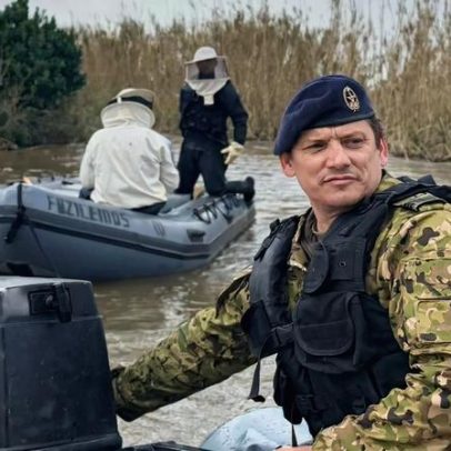 Marinha resgata 40 mil abelhas em Coimbra