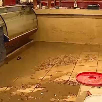 Docas de Coimbra reabrem para limpezas e apurar prejuízos