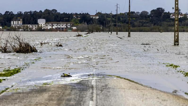 Cheias no Tejo: trabalhos de limpeza e recuperação prosseguem após melhoria