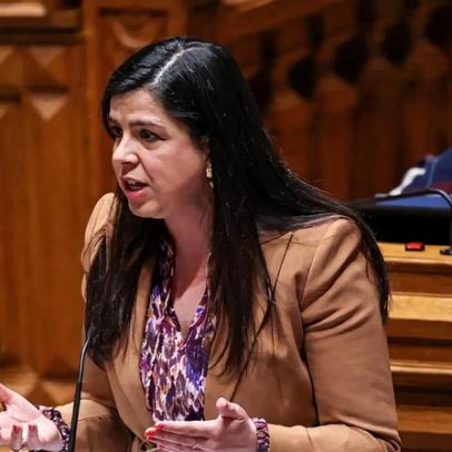 PAN pede ao Governo não excluir apoios do mau tempo a quem tem dívidas ao fisco