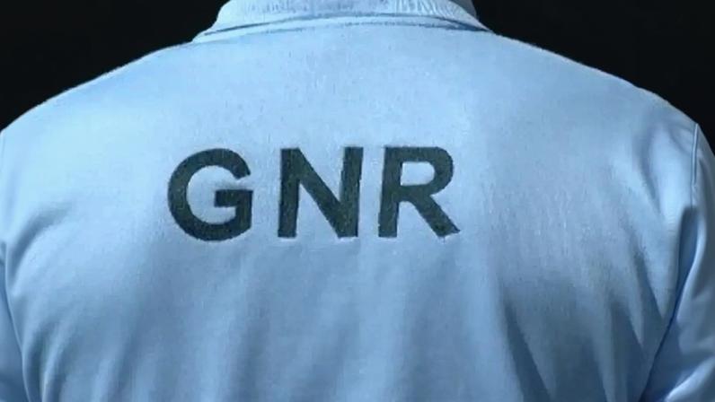 Mais de 200 infrações no transporte de mercadorias na operação da GNR