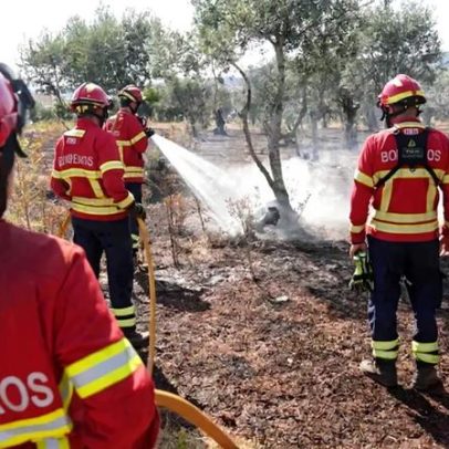 Suspeito de fogo florestal em Águeda nega acusação