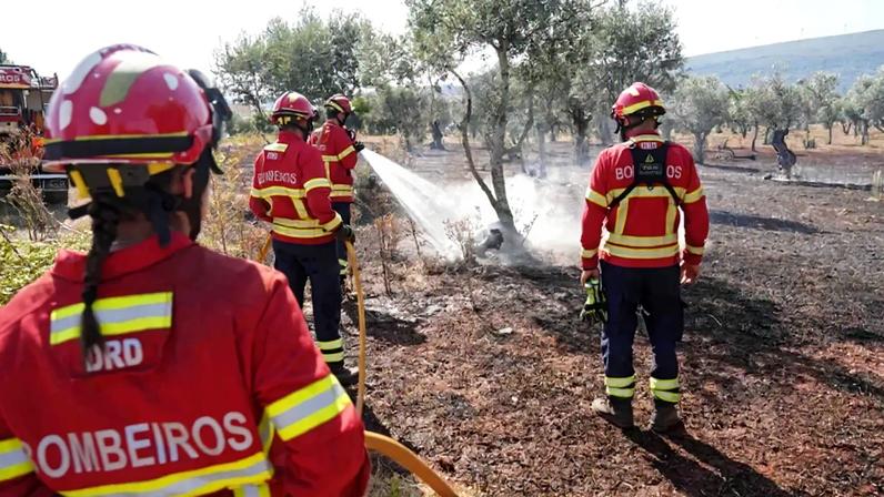 Bombeiros combatem incêndio florestal