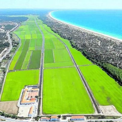 Fundo americano investe 203 milhões de euros na Comporta