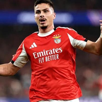 Selecionador croata lamenta que Ivanović quase não joga no Benfica