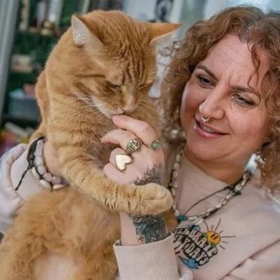 Gato na Alemanha é alvo de autoridades por miar excessivamente