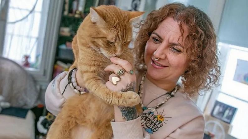 Na Alemanha há um gato na mira das autoridades por… miar demais