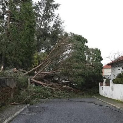 Homem morre após queda de telhado que reparava em Cernache do Bonjardim