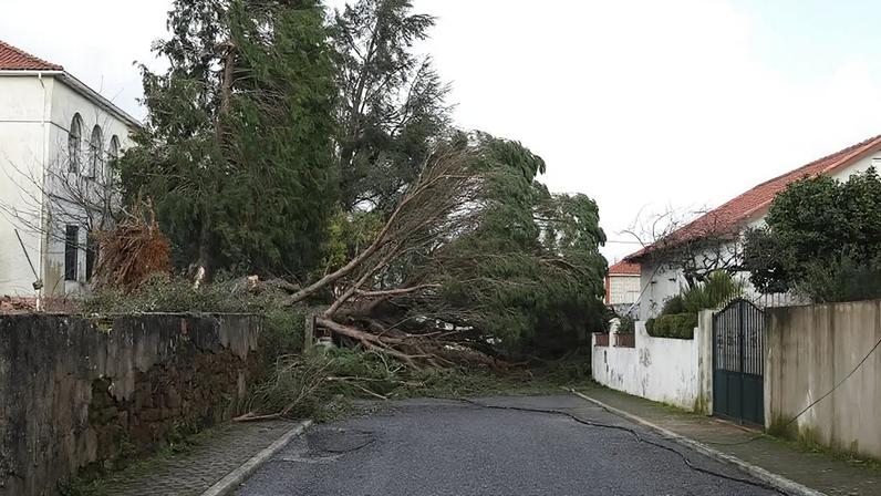 Destruição causada pela depressão Kristin em Castelo Branco