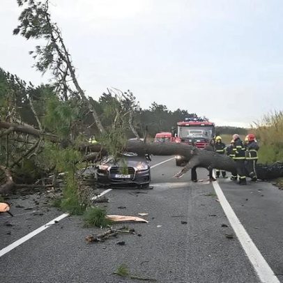 Anacom recomenda usar redes de outras operadoras nos territórios afetados