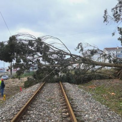 Mau tempo suspende comboios em troços do Norte até Évora