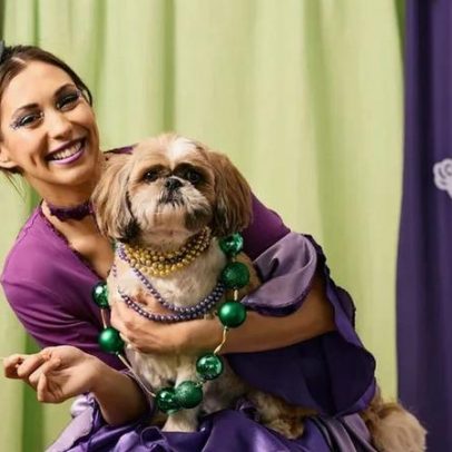 Carnaval: 7 dicas para manter os seus pets seguros sem estresse