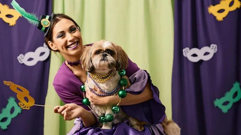 Folia sim, stress não! Saiba o que fazer para manter os seus pets seguros no Carnaval